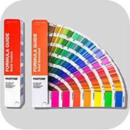 Color